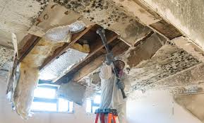 Best Post-Construction Mold Inspection  in Red Lake, AZ